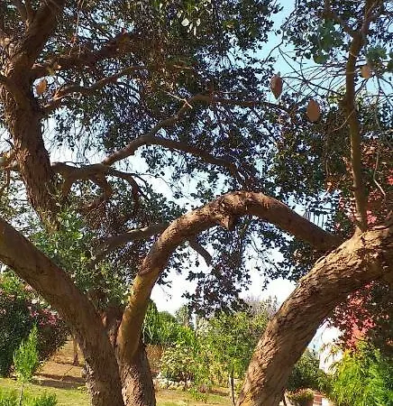 Penelope's House * Skala (Kefalonia)