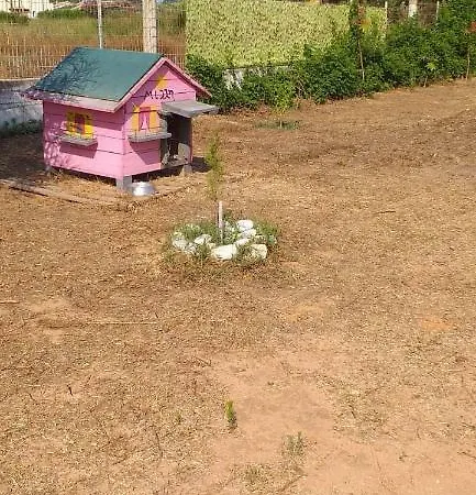 Penelope's House *