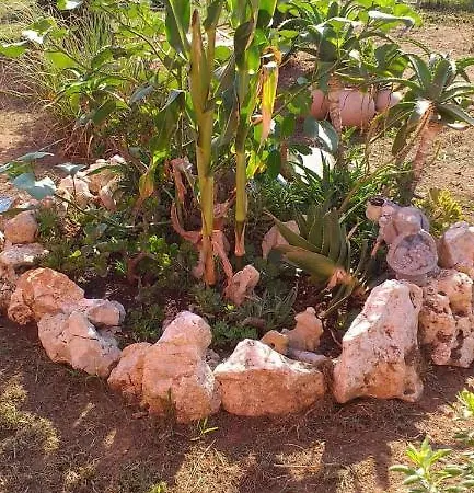 Casa de Férias Penelope's House